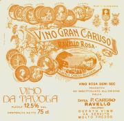 Campania_Gran Caruso_rose